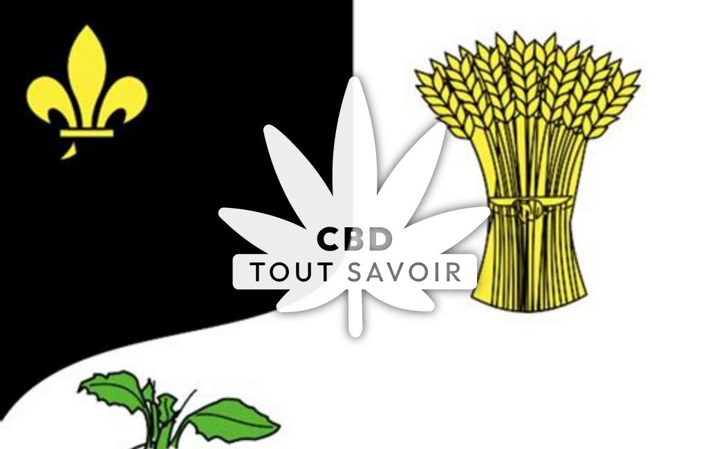 Village à Chouy avec feuille Cannabis CBD