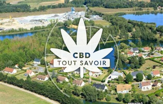 Village à Ciry-Salsogne avec feuille Cannabis CBD