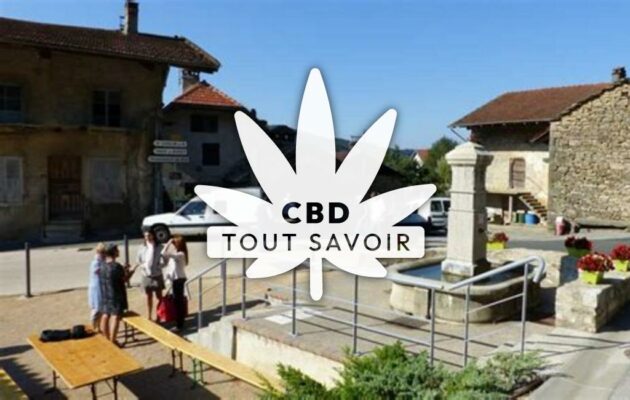 Village à Cleyzieu avec feuille Cannabis CBD