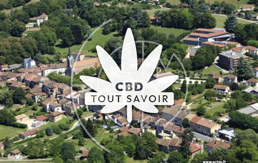 Village à Coligny avec feuille Cannabis CBD