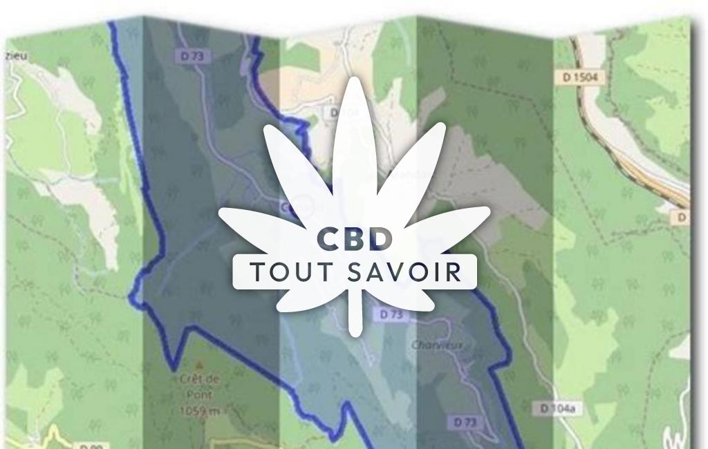 Village à Conand avec feuille Cannabis CBD