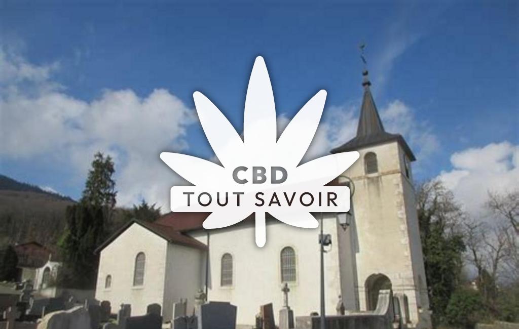 Village à Crozet avec feuille Cannabis CBD