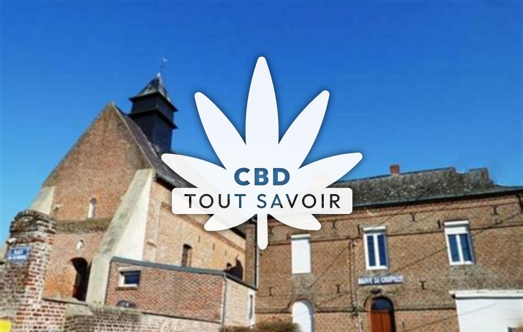 Village à Crupilly avec feuille Cannabis CBD