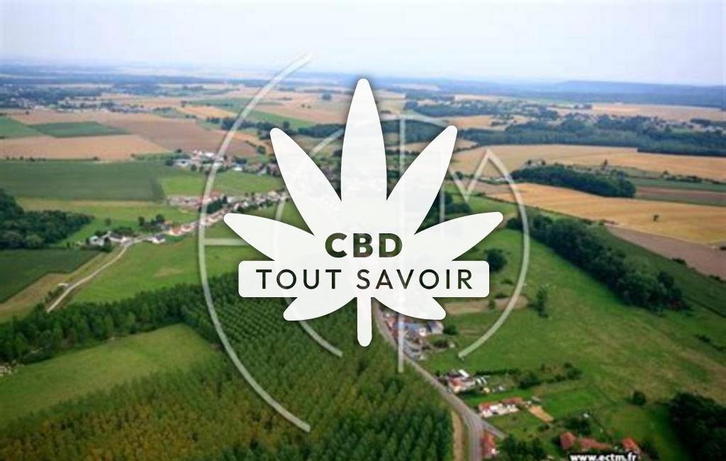 Village à Deuillet avec feuille Cannabis CBD