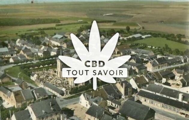 Village à Dizy-le-Gros avec feuille Cannabis CBD