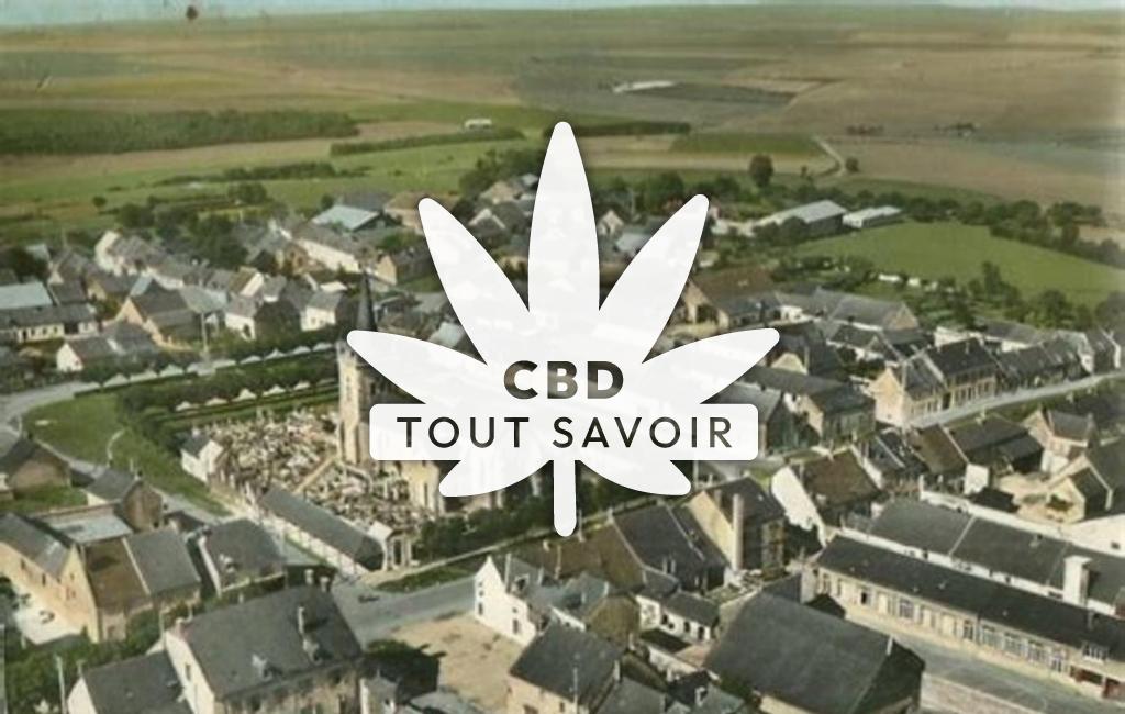 Village à Dizy-le-Gros avec feuille Cannabis CBD