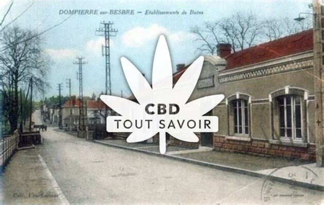 Village à Dompierre-sur-Besbre avec feuille Cannabis CBD