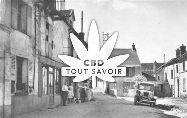 Village à Domptin avec feuille Cannabis CBD