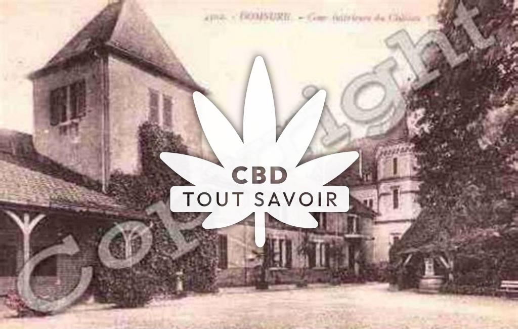 Village à Domsure avec feuille Cannabis CBD