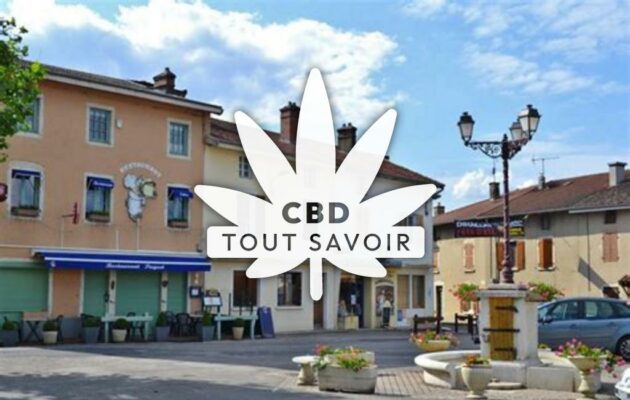 Village à Druillat avec feuille Cannabis CBD