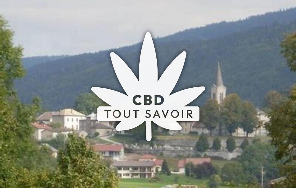 Village à Echallon avec feuille Cannabis CBD