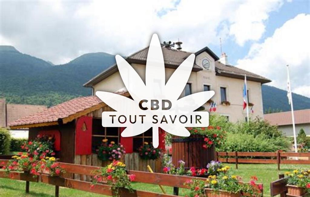 Village à Echenevex avec feuille Cannabis CBD