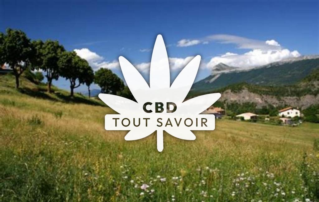 Village à Entrages avec feuille Cannabis CBD