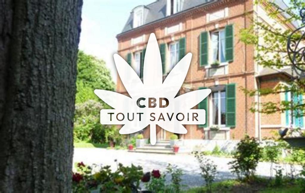 Village à Eparcy avec feuille Cannabis CBD