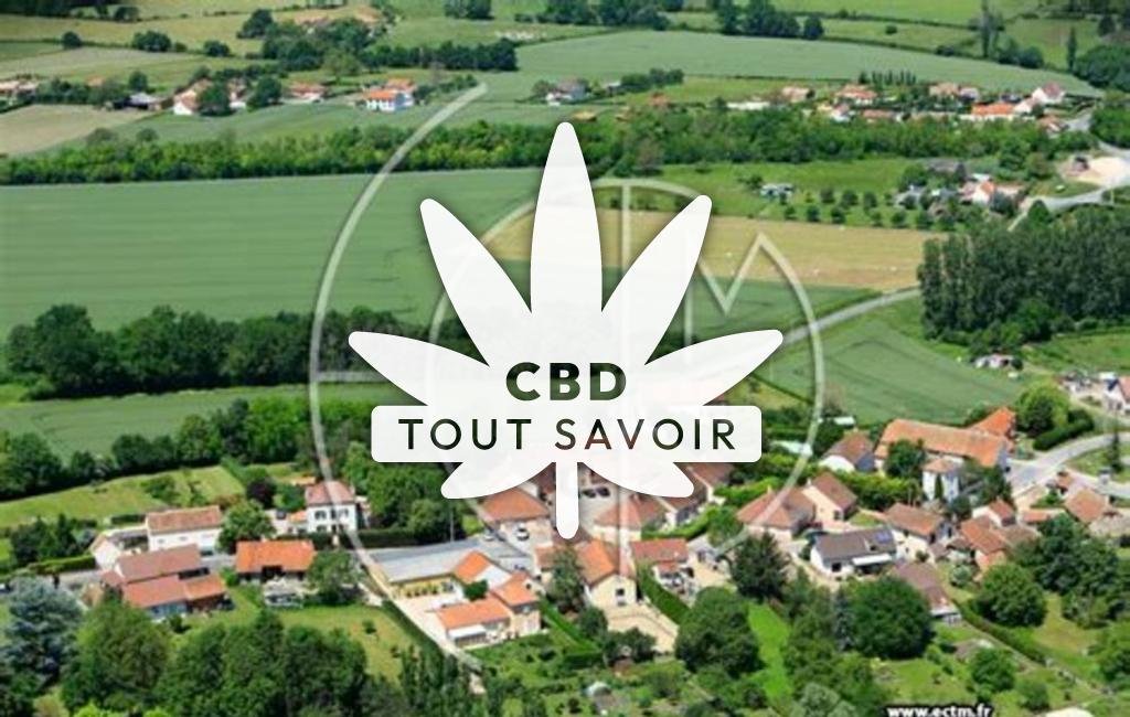 Village à Espinasse-Vozelle avec feuille Cannabis CBD