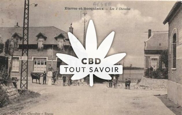 Village à Etaves-Et-Bocquiaux avec feuille Cannabis CBD