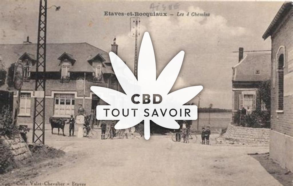 Village à Etaves-Et-Bocquiaux avec feuille Cannabis CBD