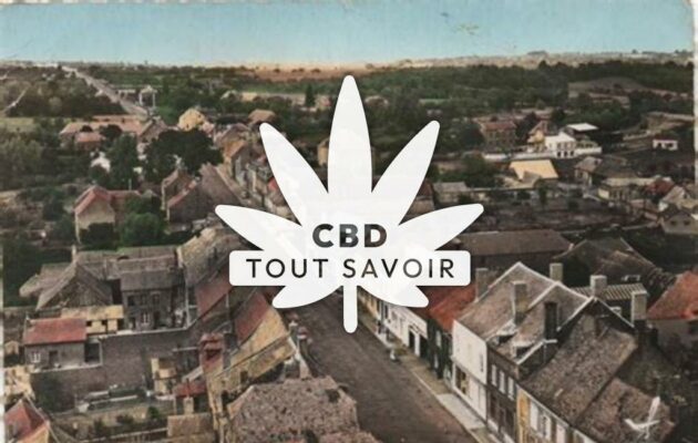 Village à Etreaupont avec feuille Cannabis CBD