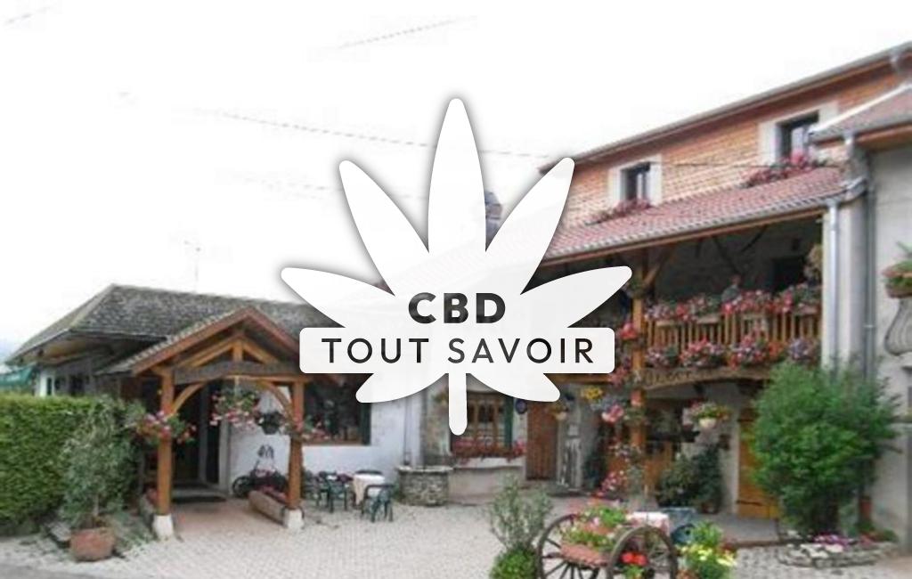 Village à Evosges avec feuille Cannabis CBD