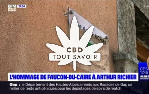 Village à Faucon-du-Caire avec feuille Cannabis CBD