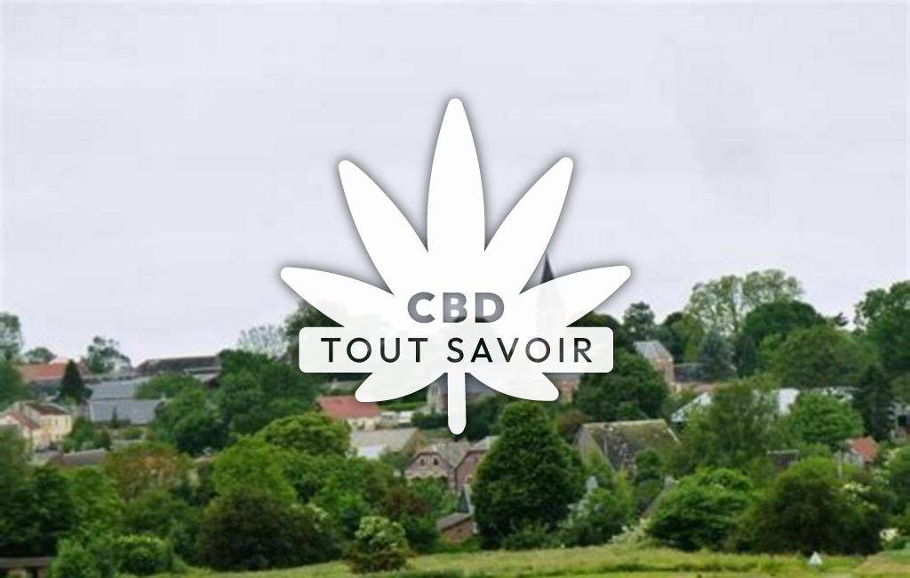 Village à Fieulaine avec feuille Cannabis CBD