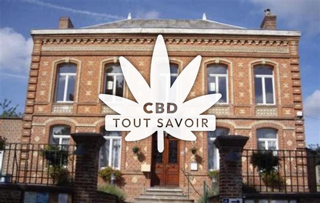 Village à Fontaine-les-Vervins avec feuille Cannabis CBD