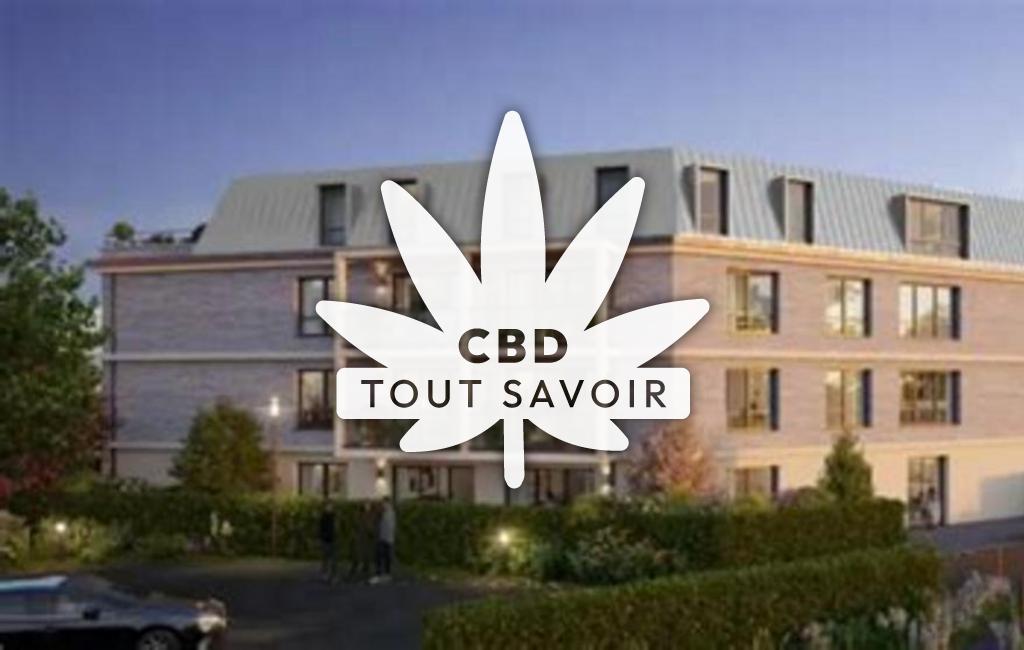 Village à Franqueville avec feuille Cannabis CBD