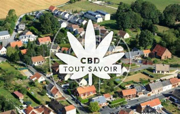 Village à Fresnoy-le-Grand avec feuille Cannabis CBD