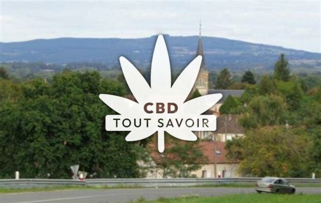 Village à Garnat-sur-Engievre avec feuille Cannabis CBD