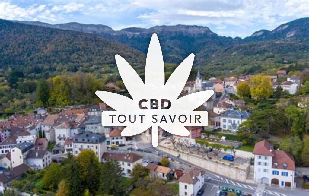 Village à Gex avec feuille Cannabis CBD