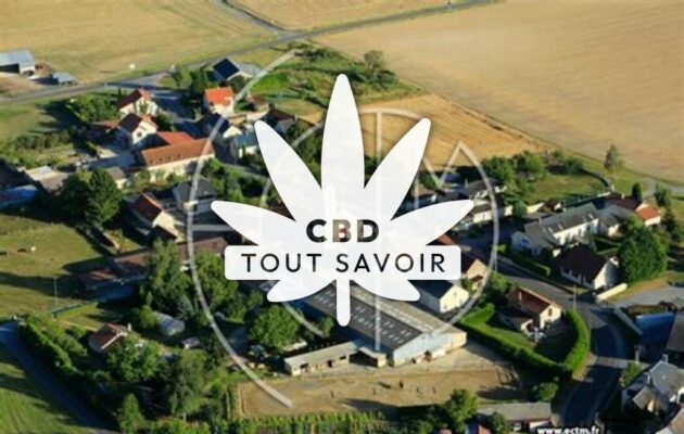 Village à Goudelancourt-les-Berrieux avec feuille Cannabis CBD