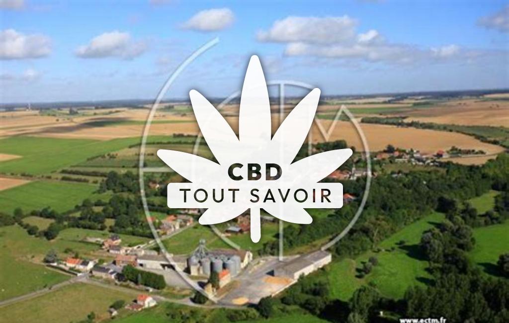 Village à Grand-Verly avec feuille Cannabis CBD