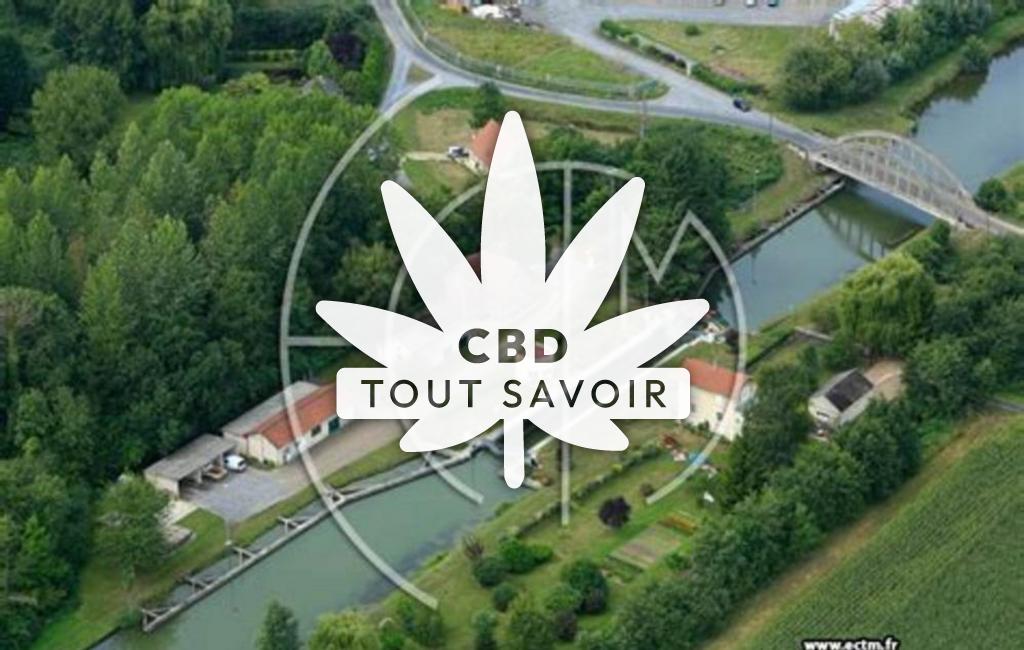 Village à Guny avec feuille Cannabis CBD