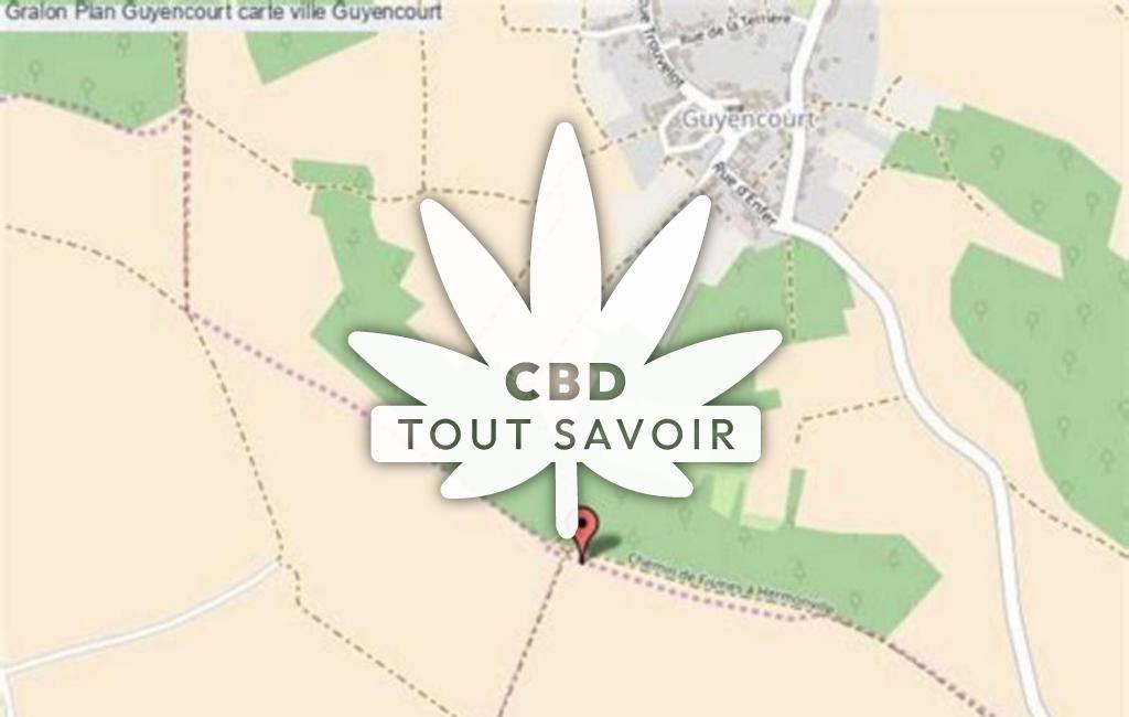 Village à Guyencourt avec feuille Cannabis CBD