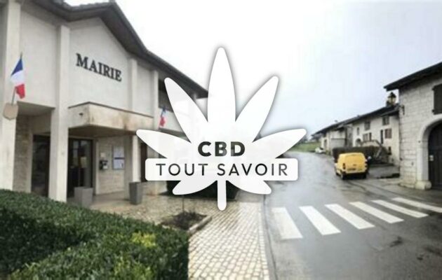 Village à Hautecourt-Romaneche avec feuille Cannabis CBD