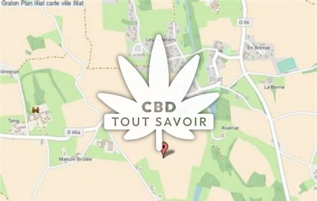 Village à Illiat avec feuille Cannabis CBD