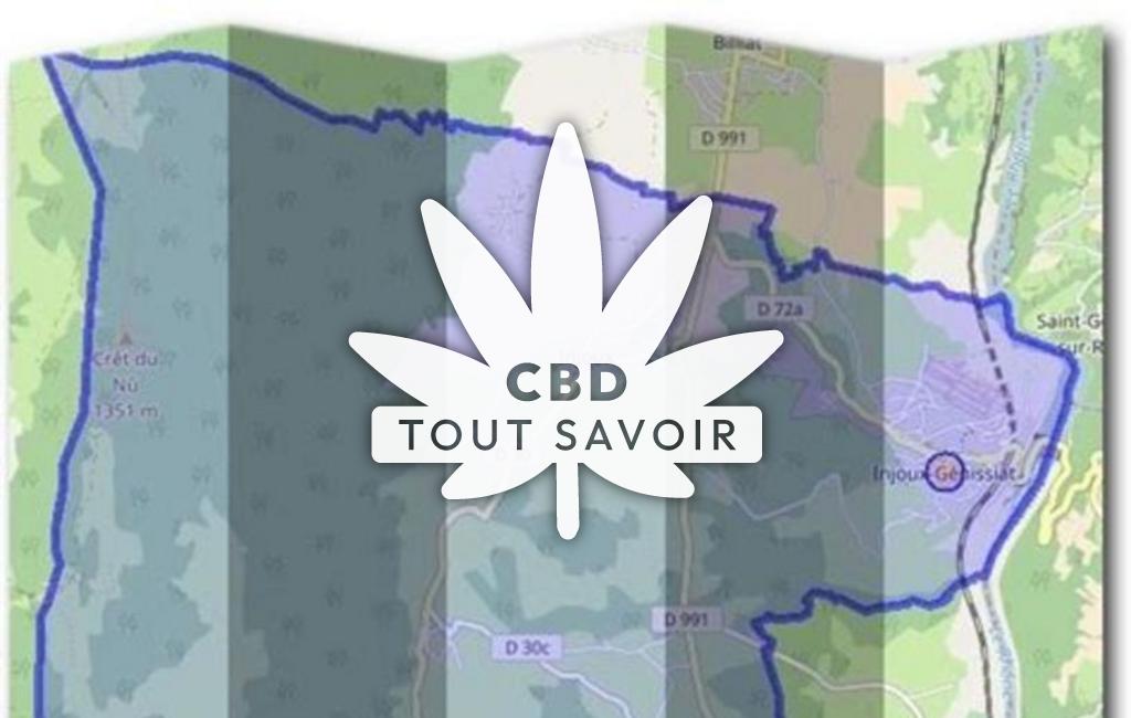 Village à Injoux-Genissiat avec feuille Cannabis CBD