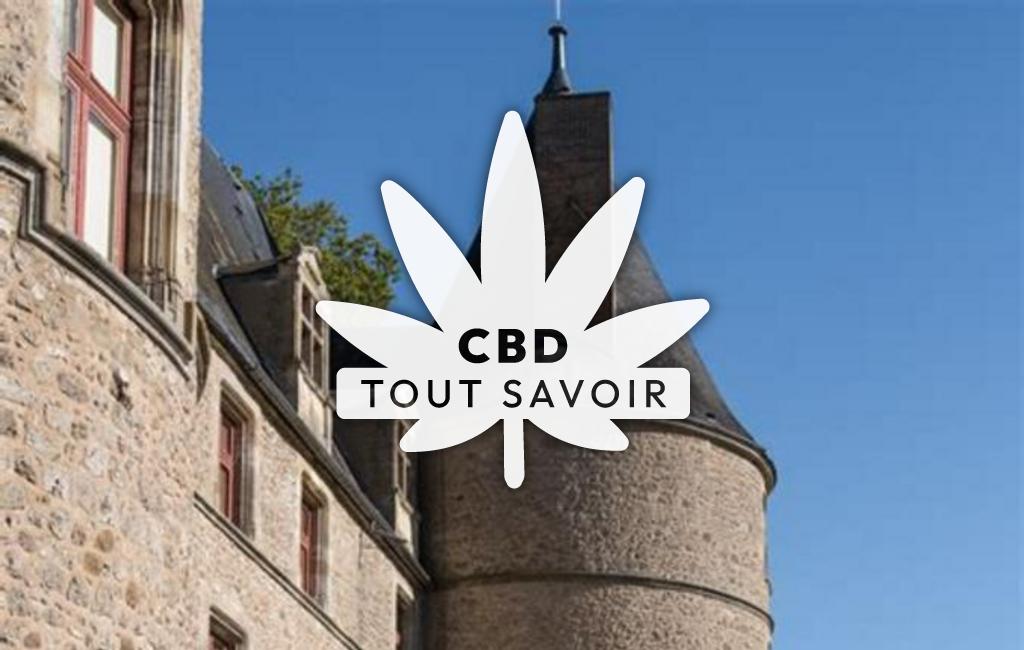 Village à Jaligny-sur-Besbre avec feuille Cannabis CBD