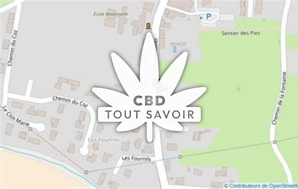 Village à Jasseron avec feuille Cannabis CBD