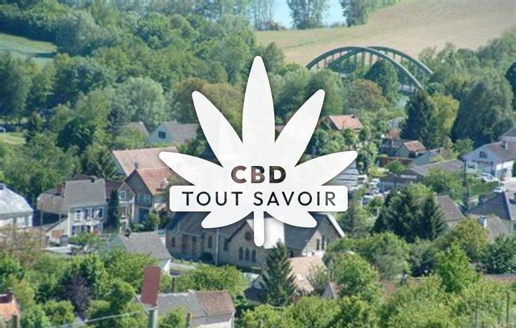 Village à Jaulgonne avec feuille Cannabis CBD