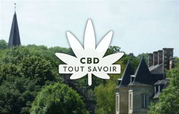 Village à Jouaignes avec feuille Cannabis CBD