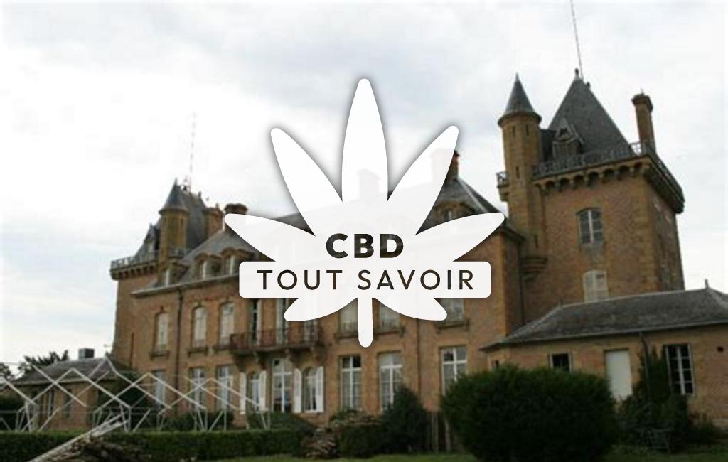 Village à La-Ferte-Hauterive avec feuille Cannabis CBD