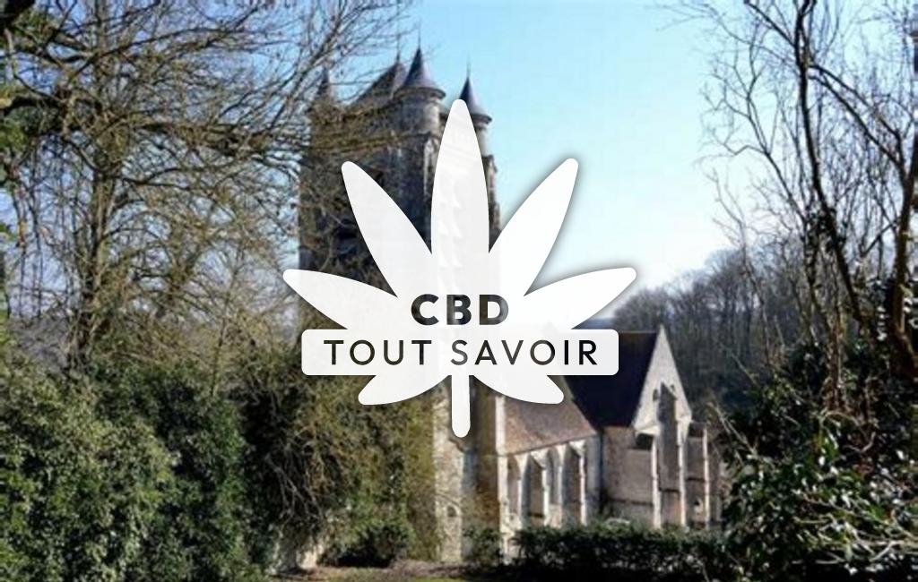 Village à La-Ferte-Milon avec feuille Cannabis CBD