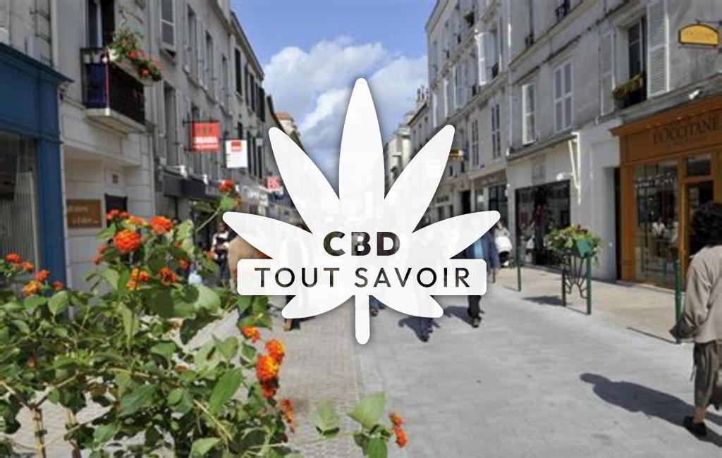 Village à La-Malmaison avec feuille Cannabis CBD