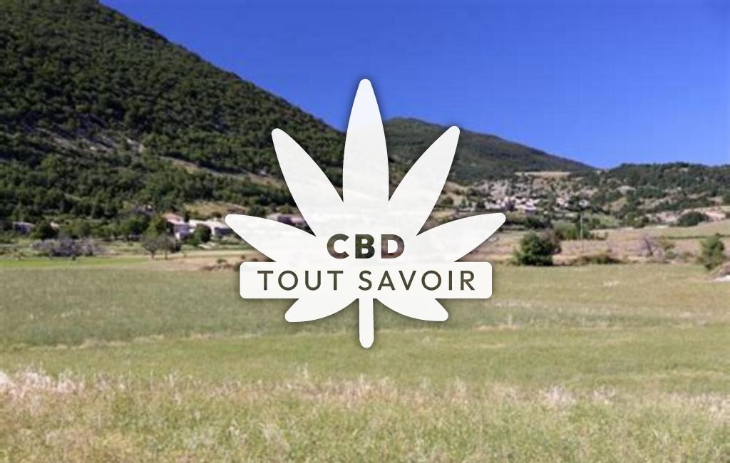 Village à La-Rochegiron avec feuille Cannabis CBD