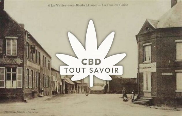 Village à La-Vallee-au-Ble avec feuille Cannabis CBD