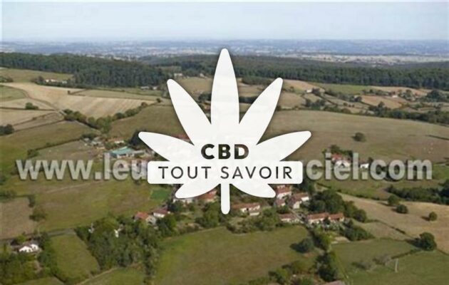 Village à Lalizolle avec feuille Cannabis CBD