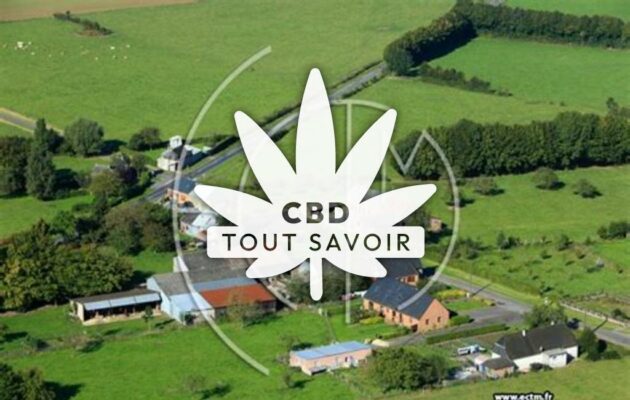 Village à Landouzy-la-Ville avec feuille Cannabis CBD