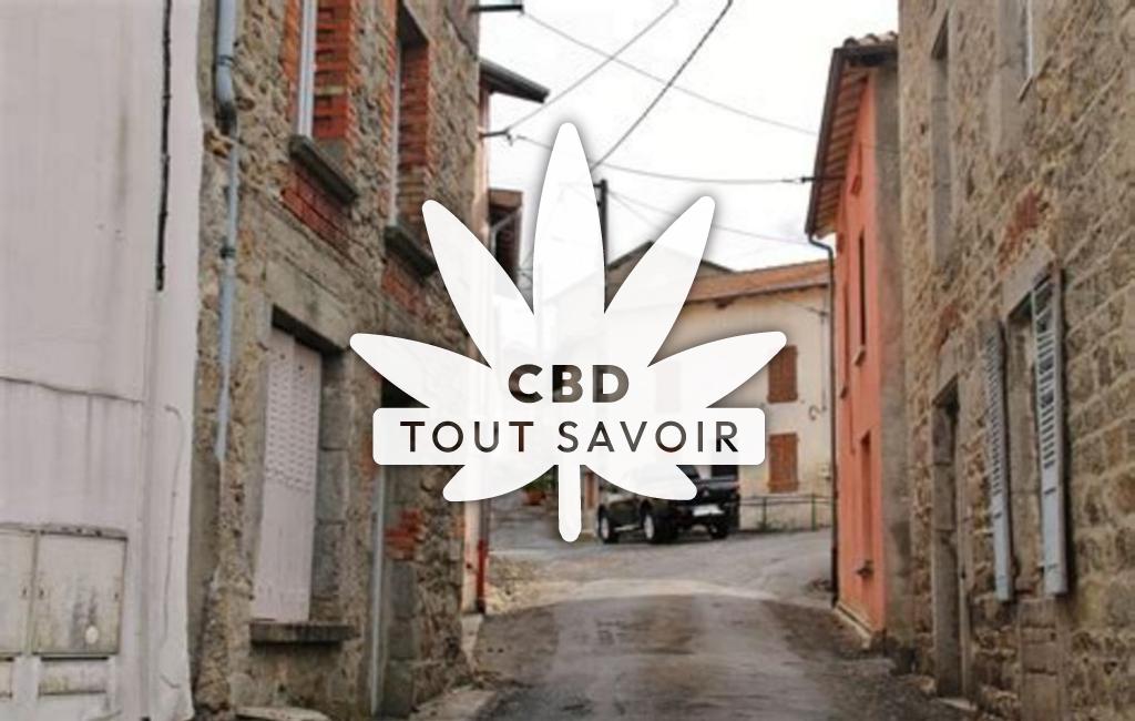 Village à Laprugne avec feuille Cannabis CBD