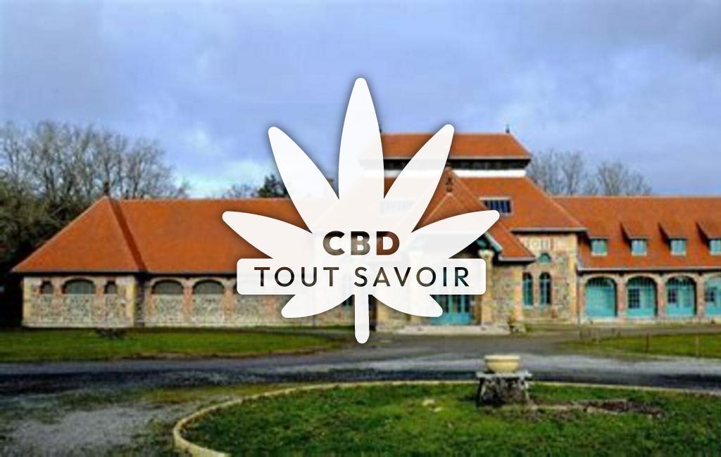 Village à Lavault-Sainte-Anne avec feuille Cannabis CBD